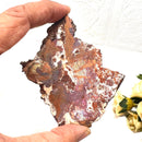 Copper Agate Slice (Balance)