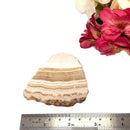 Yellow Lace Agate Slice