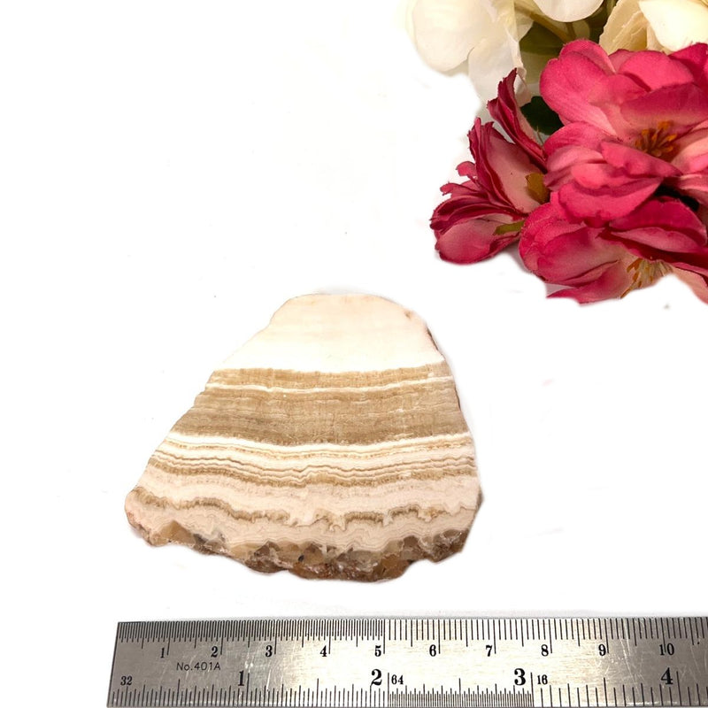 Yellow Lace Agate Slice