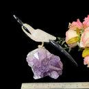 Medium Sized Crystal Parrots on Amethyst Clusters from Brazil
