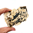 Peanut Wood Slices  (Stability)