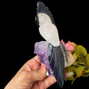 Medium Sized Crystal Parrots on Amethyst Clusters from Brazil