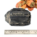 Elite Rough Black Tourmaline Medium Sized (Grounding & Protection)