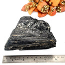 Elite Rough Black Tourmaline Medium Sized (Grounding & Protection)