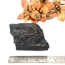 Elite Rough Black Tourmaline Medium Sized (Grounding & Protection)