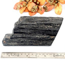 Elite Rough Black Tourmaline Medium Sized (Grounding & Protection)
