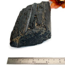 Elite Rough Black Tourmaline Medium Sized (Grounding & Protection)