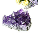 Amethyst Cluster AAA Extra Quality (Intuition and Spiritual Evolution)