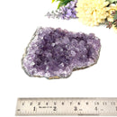 Amethyst Cluster (Spirituality and Wisdom)