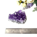 Amethyst Cluster AAA Extra Quality (Intuition and Spiritual Evolution)