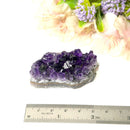 Amethyst Cluster AAA Extra Quality (Intuition and Spiritual Evolution)