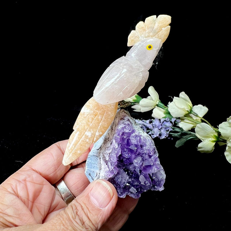 Small Crystal Birds / Parrots on Amethyst Druzy from Brazil