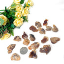 Fire Agate (Shielding & Creativity)