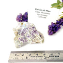 Fluorite w/ Mica Mineral Specimen (California, USA)