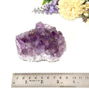 Amethyst Cluster (Spirituality and Wisdom)