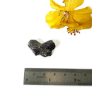 Staurolite Rough Specimen (Connect with Nature)