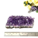 Amethyst Cluster AAA Extra Quality (Intuition and Spiritual Evolution)