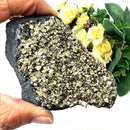 Shungite with Pyrite Rough from Brazil