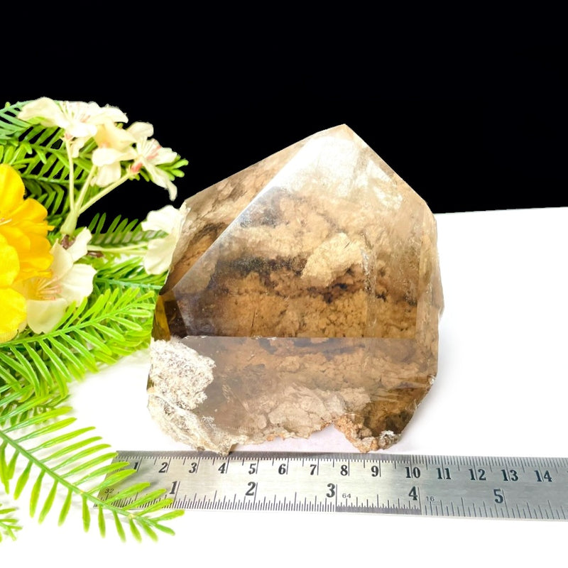 Large Garden/ Shaman Quartz Points (Meditation & Shamanic Healing)