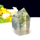 Garden/ Shaman Quartz Points (Meditation & Shamanic Healing)