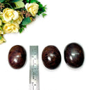 Garnet Palm Stone (Endurance & Commitment)