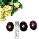 Garnet Palm Stone (Endurance & Commitment)