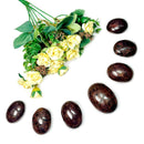 Garnet Palm Stone (Endurance & Commitment)