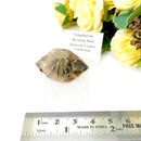 Glauberite Mineral Specimen (California, USA)