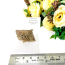 Glauberite Mineral Specimen (California, USA)