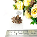 Glauberite Mineral Specimen (California, USA)