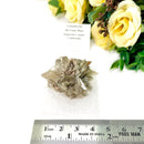 Glauberite Mineral Specimen (California, USA)