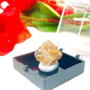 Golden Rutile Quartz Mineral Specimen (Brazil)