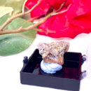 Golden Rutile Quartz Mineral Specimen (Brazil)