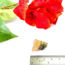 Golden Rutile Quartz Mineral Specimen (Brazil)