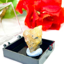 Golden Rutile Quartz Mineral Specimen (Brazil)