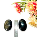 Golden Sheen Obsidian Palmstone (Protection & Releasing Blocks)
