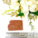 Goldstone Slices (Ambition and Confidence)