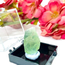 Green Fluorite Mineral Specimen (Zhe Jiang)