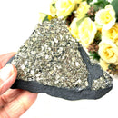 Shungite with Pyrite Rough from Brazil