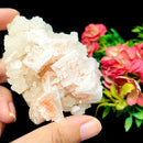 Halite on Trona Mineral Specimen (California)