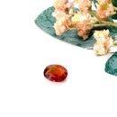 Hessonite Garnet Gem stone / Gomed - Ceylon (Protection & Mental Clarity)