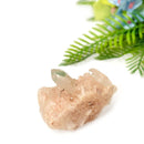 Himalayan Chlorite Phantom Quartz Points and Clusters