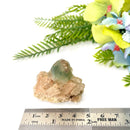 Himalayan Chlorite Phantom Quartz Points and Clusters