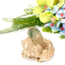 Himalayan Chlorite Phantom Quartz Points and Clusters