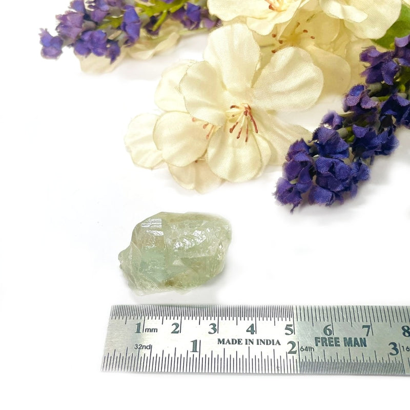 Himalayan Chlorite Phantom Quartz Points and Clusters