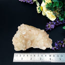 Himalayan Quartz Clusters - Large Cabinet Size (Amplify Energy and Healing)