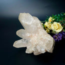 Himalayan Quartz Clusters - Large Cabinet Size (Amplify Energy and Healing)