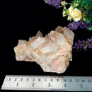 Himalayan Quartz Clusters - Large Cabinet Size (Amplify Energy and Healing)