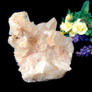 Himalayan Quartz Clusters - Large Cabinet Size (Amplify Energy and Healing)