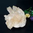 Himalayan Quartz Clusters - Large Cabinet Size (Amplify Energy and Healing)